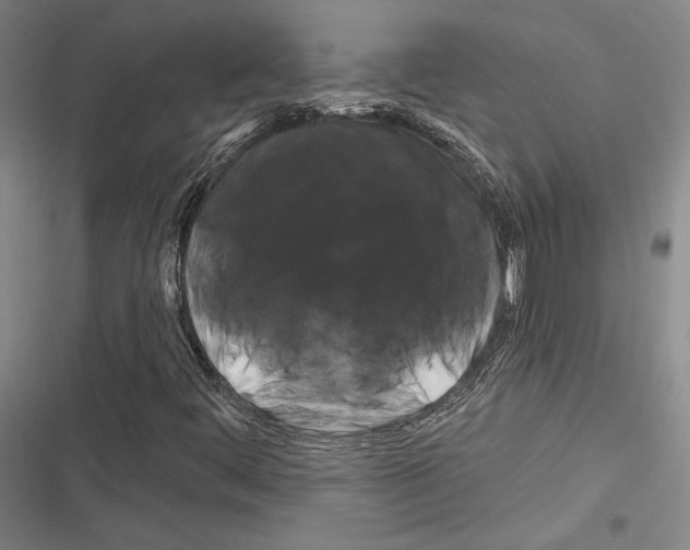 X0000116281444201001111025