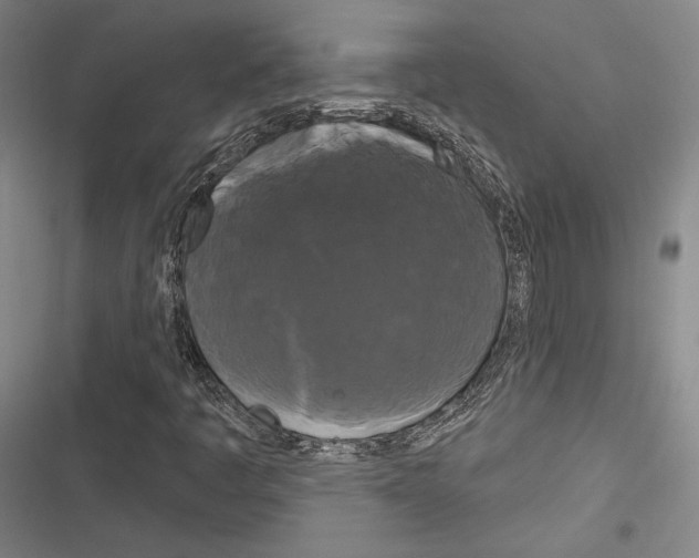 X0000116281445201001111025