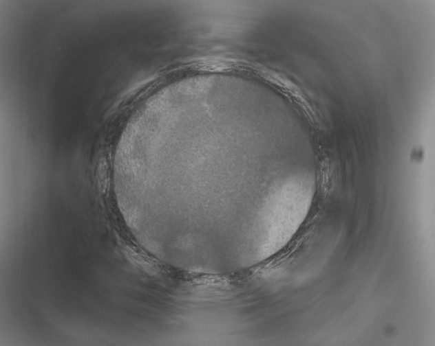 X0000116281446201001111025