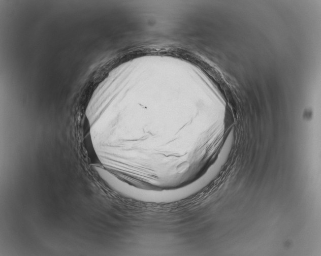 X0000116281447201001111025