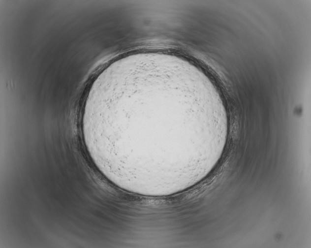 X0000116281451201001111025