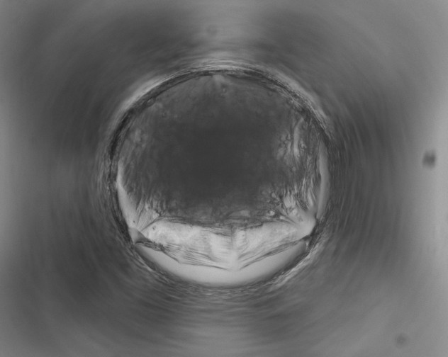 X0000116281453201001111025