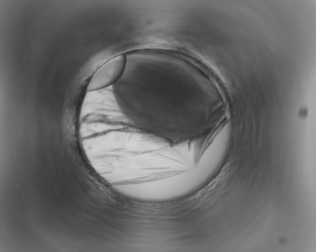 X0000116281455201001111025