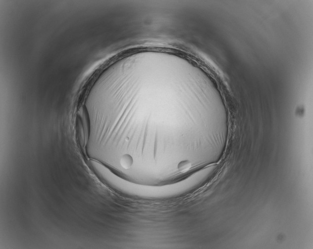 X0000116281456201001111025