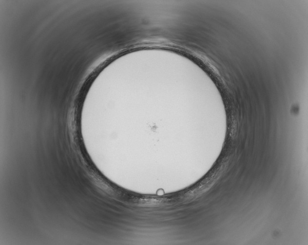 X0000116281458201001111025