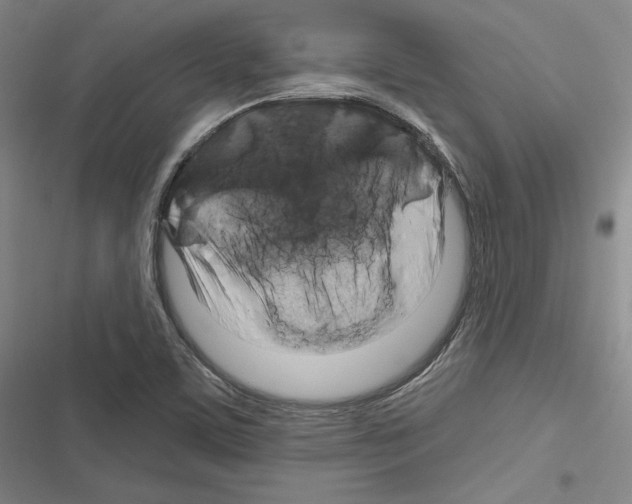 X0000116281459201001111025