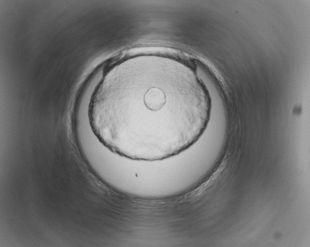 X0000116281461201001111025