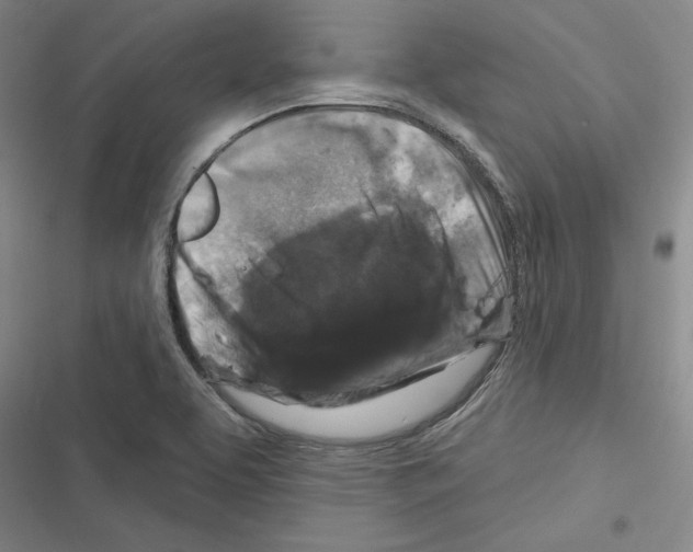 X0000116281463201001111025