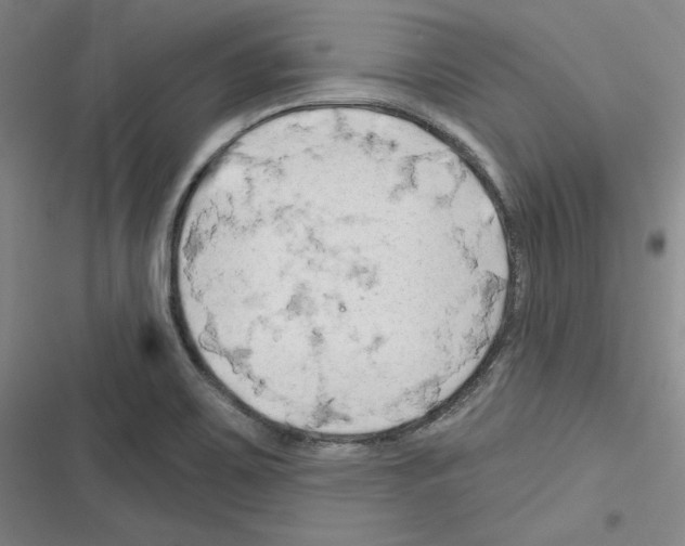 X0000116281467201001111025