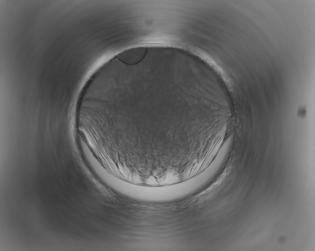 X0000116281469201001111025