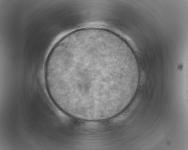 X0000116281470201001111025