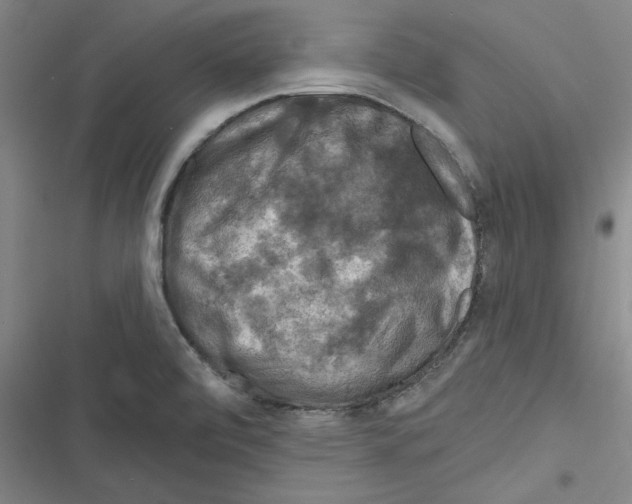 X0000116281472201001111025