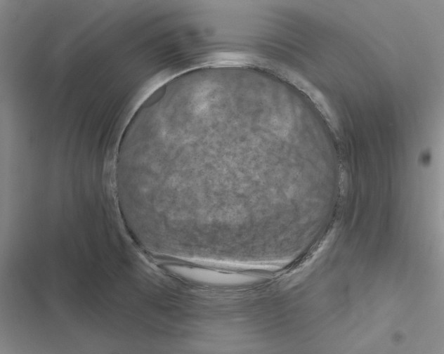 X0000116281473201001111025