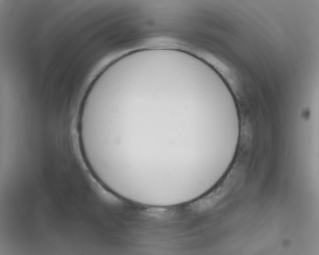 X0000116281478201001111025