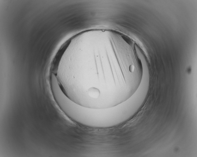 X0000116281480201001111025