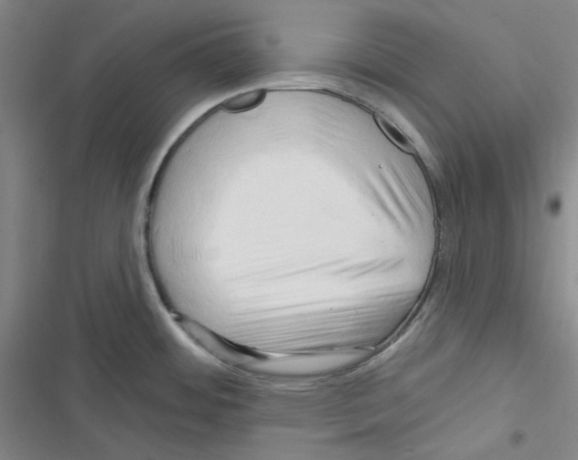 X0000116281484201001111025