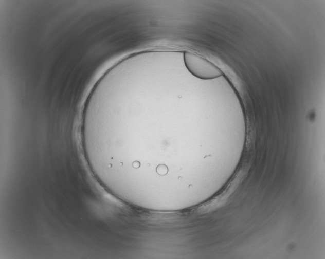 X0000116281486201001111025