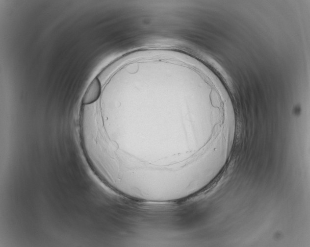 X0000116281487201001111025