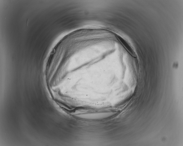 X0000116281488201001111025