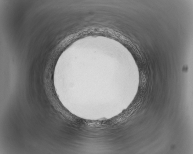 X0000116281489201001111024