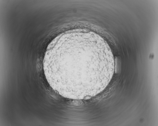 X0000116281491201001111024