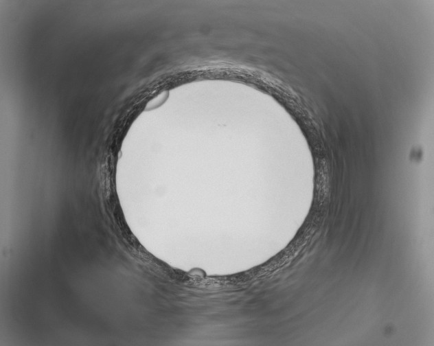 X0000116281493201001111024