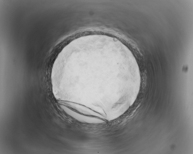 X0000116281494201001111024