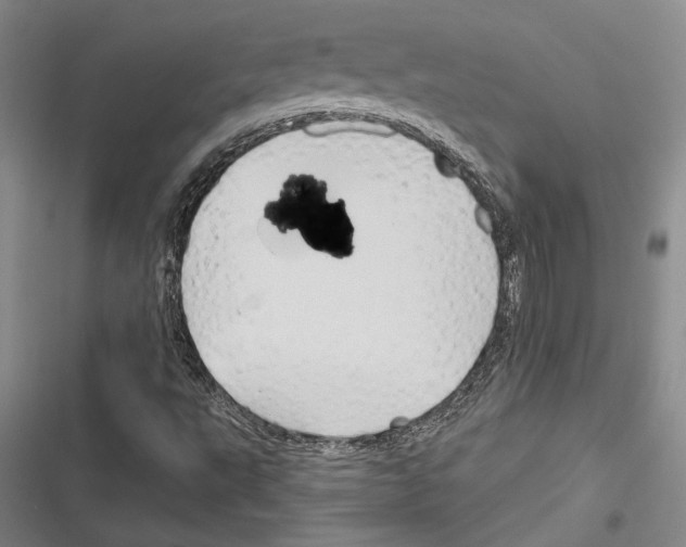 X0000116281495201001111024