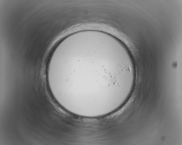 X0000116281498201001111024