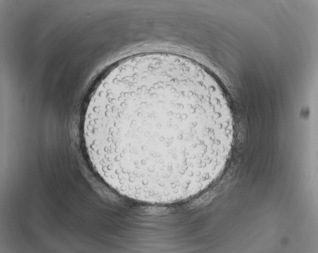 X0000116281499201001111024