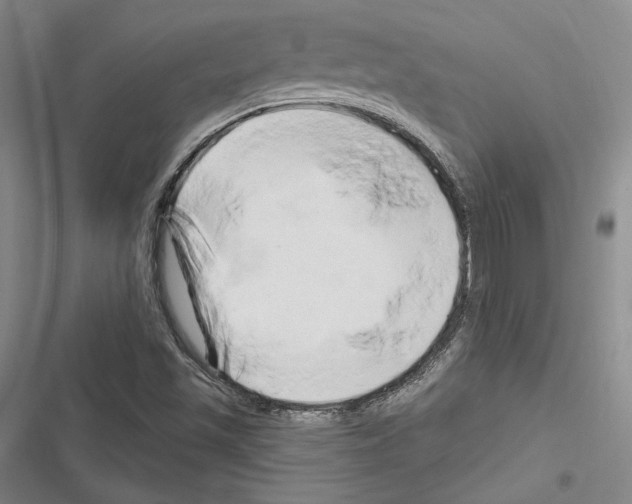 X0000116281501201001111024