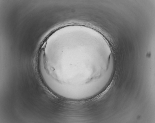 X0000116281502201001111024