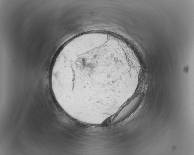 X0000116281505201001111024