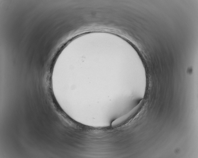 X0000116281507201001111024
