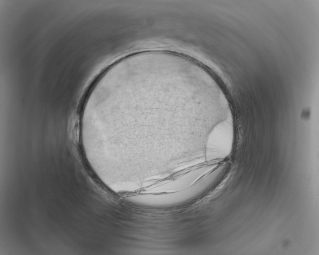X0000116281509201001111024