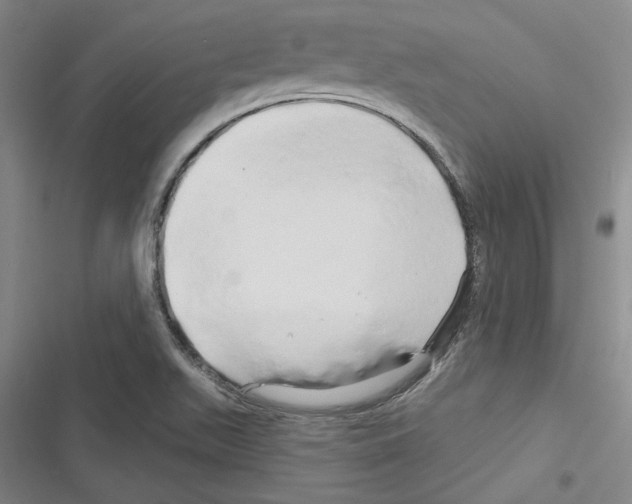 X0000116281511201001111024