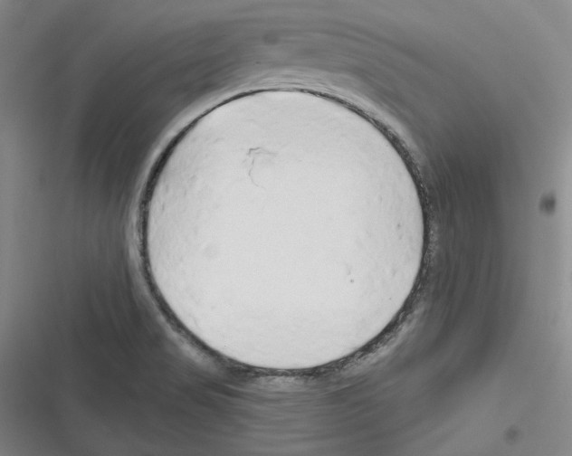 X0000116281517201001111024