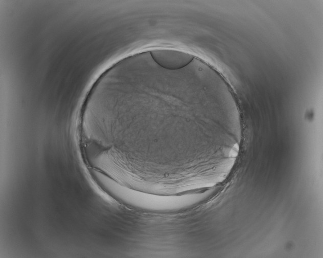 X0000116281519201001111024