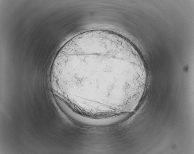 X0000116281521201001111024