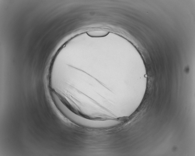 X0000116281523201001111024
