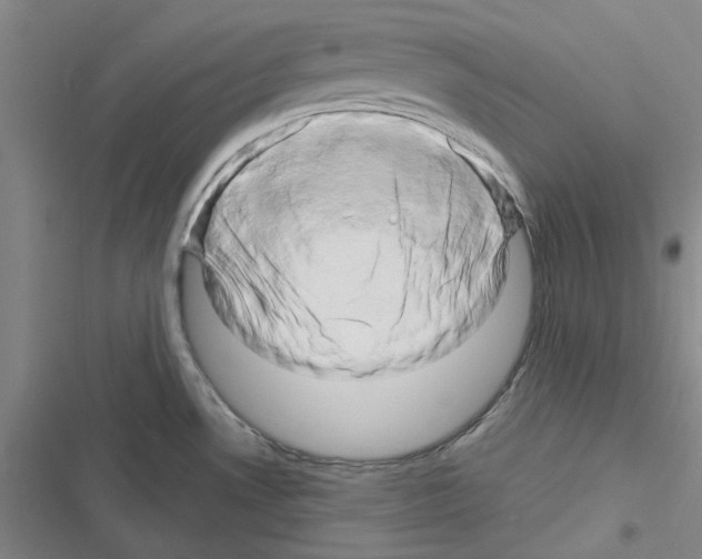 X0000116281530201001111025