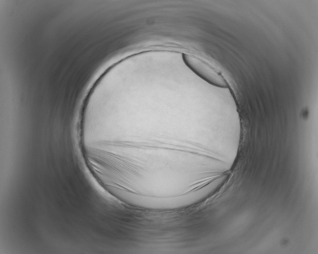 X0000116281531201001111025
