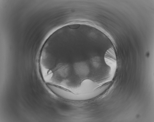 X0000116281533201001111025