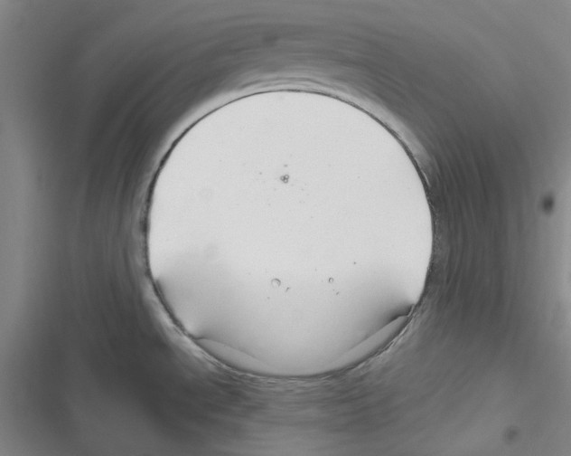 X0000116281534201001111025