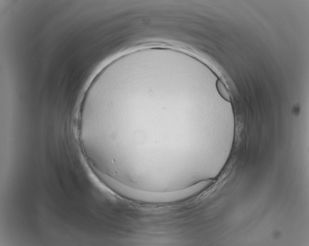 X0000116281535201001111025