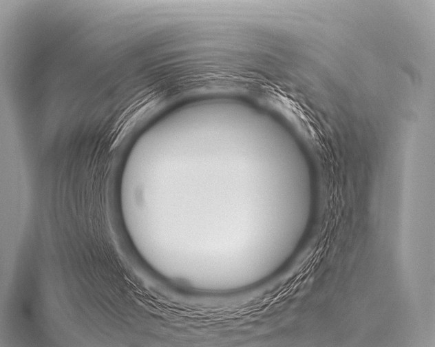 X0000116290001200911301002