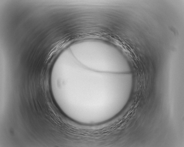 X0000116290002200911301002