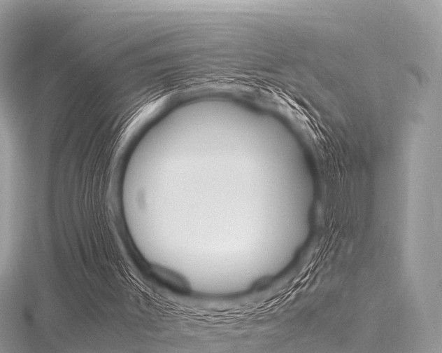 X0000116290003200911301002