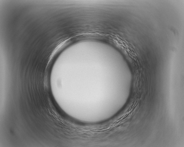 X0000116290004200911301002