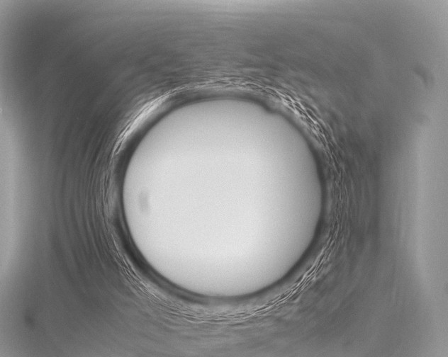 X0000116290005200911301002